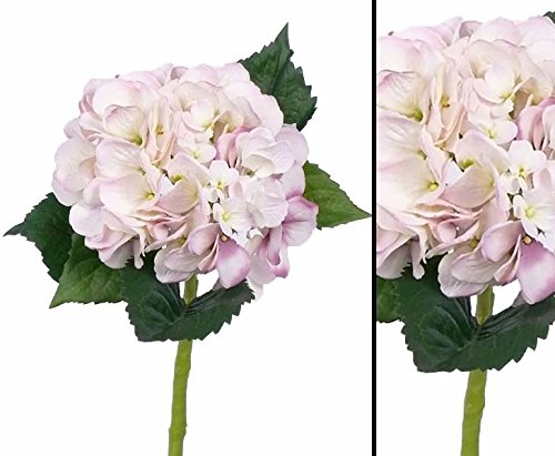 Hortensie Kunstblume mit weiß Rosa Blüte 15cm, Länge 48cm - Kunstpflanze Kunstbaum künstliche Bäume Kunstbäume Gummibaum Kunstoffpflanzen Dekopflanzen Textilpflanzen Textilbäume Pflanzen aus Textil Kunststoffpflanzen Plastikpflanze Kunstpflanzenbaum Kunstblumen Deko Blumen --> großes Kunstpflanzen Sortiment