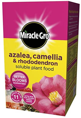 Miracle-Gro Azalea Camellia & Rhododendron Soluble Plant Food 500g