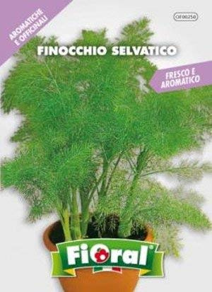 Sementi di piante aromatiche e officinali in bustina ad uso amatoriale (FINOCCHIO SELVATICO)