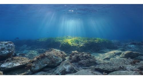 AWERT Ocean Floor Fish Tank Hintergrund Unterwasserstein Aquarium Hintergrund 121,9 x 61 cm Vinyl