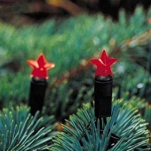 LED Lichterkette mit Batteriebetrieb 20 ROTE LED
