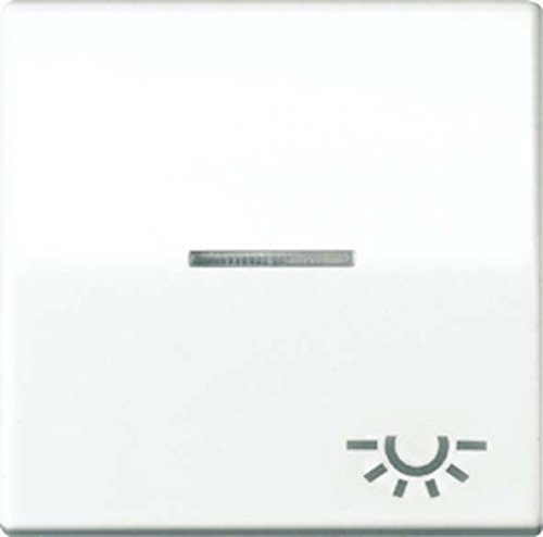 Jung Wippe AS591KO5L mit Symbol Licht