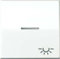 Jung Wippe AS591KO5L mit Symbol Licht