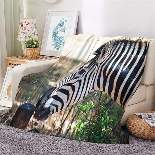 Kuscheldecke Flauschig Decke 220x240 Wilde Tiere Warm Flanell Fleecedecke Zebra für Sofa und Bett, Weich Gemütlich Wohndecke als Couchdecke Tagesdecke Kniedecke