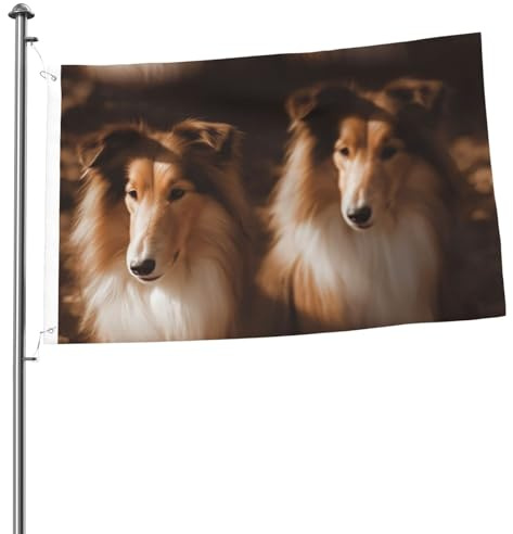 2x3 Fuß Flaggen Doppelseitige Flagge Außen Shelties Lustige Willkommens-Garten-Hof-Banner für Hausgarten-Hof-Rasen Innen-/Außendekor-Flaggen Feiertags-Banner-Schild