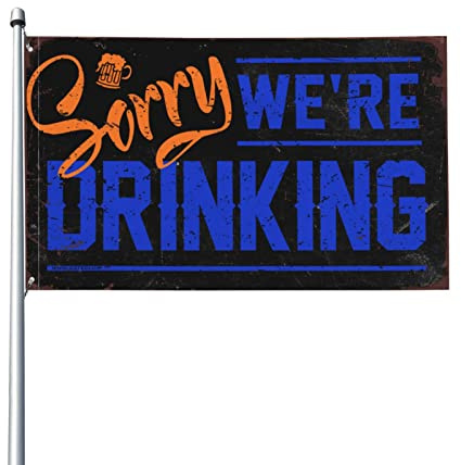 Lustige Windsäcke für die Männerhöhle Sorry We'Re Drinking Flagge, Schlafsaal, lustige Windsäcke für den Außenbereich (30 x 45 cm)