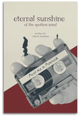 Poster Eternal Sunshine Of The Spotless Mind, Vintage-Poster, dekoratives Gemälde, ästhetische Wandkunst, Leinwand-Dekor für Wohnzimmer, Schlafzimmer, 30 x 45 cm, ungerahmter Stil