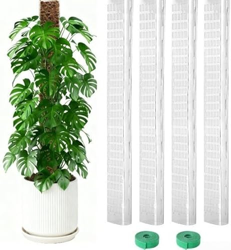 Palo di muschio pieghevole a forma di D per piante rampicanti, 61 cm, estensibile, in plastica, con fori per radici aeree, per Monstera, Pothos e Philodendron, pali da arrampicata indoor (4 pezzi)