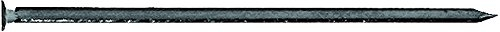 Drahtstifte, Eisen blank (Flachkopf * Ø in mm: 1,4 * Laenge in mm: 25 * Paket Inhalt Gramm: 50)