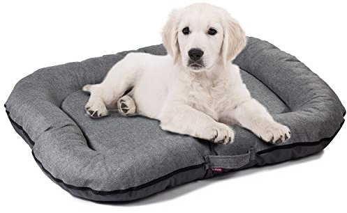 BOUTIQUE ZOO Hundebett - Wasserfest, Waschbar Hundematte aus Codura | In & Outdoor für kleine Hunde | Farbe: Grau, Größe S: 70 x 50 cm