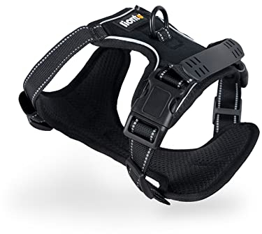 lionto Hundegeschirr gepolstert aus weichem Nylon, Größe XL, reflektierendes Anti Zug Geschirr für Hunde mit 2 Ringen & 4 Einstellgurten, 2 Klickverschlüsse & gummierter Griff am Rücken, schwarz