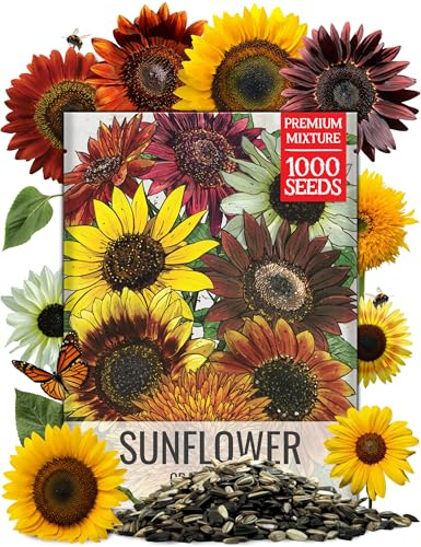 Seed Needs Sunflower Seeds for Planting The Original Crazy Blend | 1 Ounce 15+ Heirloom Varieties Open Pollinated & Untreated | Resealable Bulk Package Multicolored Blooms Flower Seeds