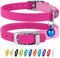 CollarDirect Leder Katzenhalsband mit Sicherheitsverschluss 23-28 cm Rosa, Elastischer Gurt und Glocke für Mittlere Katzen