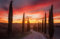 TOSKANA Fototapete VLIES-250x186 cm (6716A)-Natur Landschaft Dämmerung Bäume Art Fotokunst Wandtapete-Inkl. Kleister-Vliestapete Bild Dekoration Wand-Dekor Moderne Motiv-Tapete Panorama Poster XXL