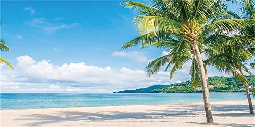 Yeele 6 x 3 m Sommer Tropischer Strand Fotografie Hintergründe Meer Insel Palmen Blauer Himmel Weiße Wolken Natürlicher Hintergrund für Hawaii Aloha Motto Party Dekorationen Banner Fotostudio