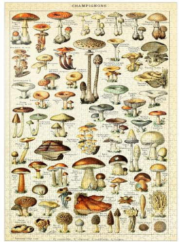 MyPuzzle Champignons - Pilze für alle, Vintage-Kunstposter, Adolphe Millot - Premium 1000 Teile Puzzle für Erwachsene