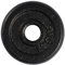 VirtuFit Gusseisen Hantelscheibe - Hantelgewicht - 30 mm - 2,5 kg - Schwarz - Gewichten - Krafttraining