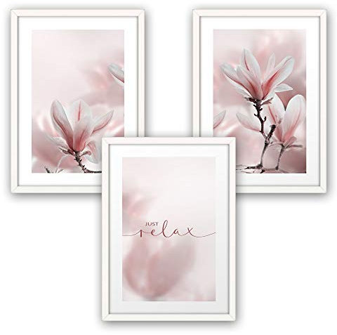 Kreative Feder 3-teiliges Premium Poster-Set | Magnolie | Deko Bild für Ihre Wand | optional mit Rahmen | Wohnzimmer Schlafzimmer Modern Fine Art | DIN A4 / A3 (A3, weißer Rahmen)