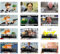 GTOTd Funny Meme Credit Card Sticker Bankkarten Aufkleber (12 Stück),EC Karten Lustig Sticker, Geschenke Dekor fur Transport Debitkartenhülle Bankkarten Für Damen Herren