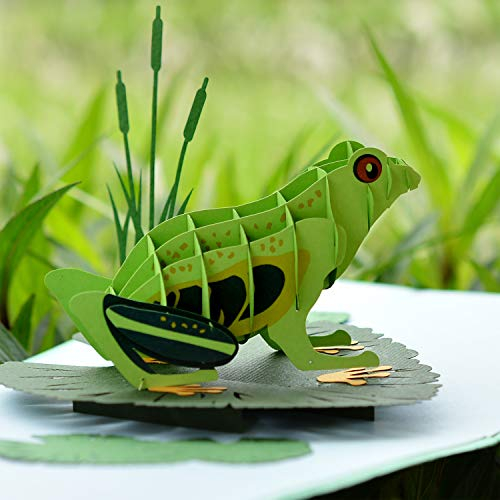 CUTPOPUP Frosch-Karte, Pop-Up-Karte, 3D-Geburtstagskarte für Tochter, Sohn, Kinder, Neffe, Nichte, Muttertagskarte US8-AN078 DE
