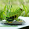 CUTPOPUP Frosch-Karte, Pop-Up-Karte, 3D-Geburtstagskarte für Tochter, Sohn, Kinder, Neffe, Nichte, Muttertagskarte US8-AN078 DE