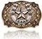 BBOTEN Western Texas Gürtelschnalle für Herren Damen, Rodeo Patriotische Gürtelschnalle, Indianer Stern Gürtelschnallen, Gold