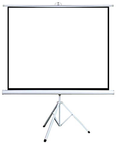 HSOYGE Pantalla de proyector, Pantalla de proyección de 60 a 100 Pulgadas con Soporte, Pantalla de proyector móvil portátil para Interiores y Exteriores, Simple, de pie, desplegable