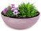 matches21 HOME & HOBBY Pflanzschale für draussen in alt-rosa marmoriert 20 x 7,5 cm als wetterfeste Blumen-Schale
