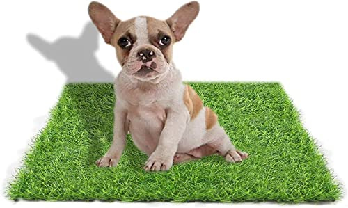 STARROAD-TIM 50 * 60 cm Hundetoiletten Kunstrasen Outdoor Hundeklo für Zuhause Hundetoilette Wohnung Hundetoilette Balkon Wiederverwendbare Trainingsunterlagen für Hunde Rasen Dekoratio