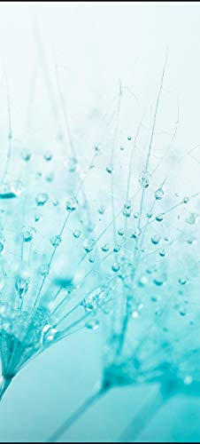 wandmotiv24 Türtapete Pusteblume Türkis 90 x 200cm (B x H) - Dekorfolie selbstklebend Sticker für Türen, Türfolie, Aufkleber, M0347