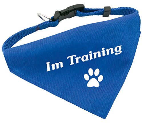 Hunde-Halsband mit Dreiecks-Tuch IM TRAINING, längenverstellbar von 32 - 55 cm, aus Polyester, in blau