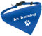 Hunde-Halsband mit Dreiecks-Tuch IM TRAINING, längenverstellbar von 32 - 55 cm, aus Polyester, in blau
