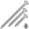meinschraubenversand.de - Blechschrauben mit Linsenkopf und Innensechsrund 3,5x50 Torx Edelstahl ISO 14585 DIN 7981 Form C (mit Spitze) 3,5 x 50 mm 25 Stück