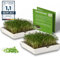 growpowr® - Kresse ANZUCHTSCHALEN || 2X Keramikschale mit 2X Kressesieb | Keimschalen auch für 7 weitere Sprossen geeignet | Kresseschale | Kress | Kresse Schalen | Keimschalen für Kresse | cress