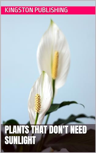 Plants That Don't Need Sunlight (Ornamental Plants)