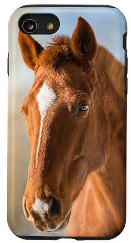 Braunes Pferd Hülle für iPhone SE (2020) / 7 / 8
