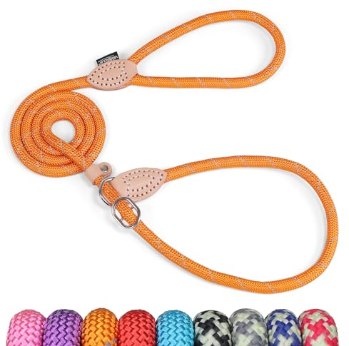 Grand Line Slip Lead Dog Leash - Anti Pull Dog Lead with 1.5m Reflective Training Rope, No Collar Needed for Small, Medium, Large Dogs & Cats (Orange,S)