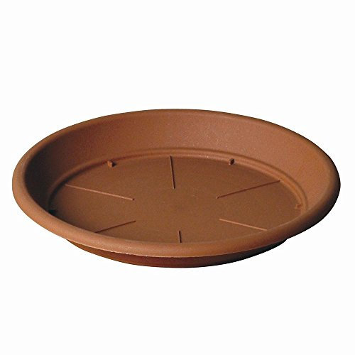 Herstera 0970 Soucoupe pour Pot de Fleurs 22 cm Terre Cuite