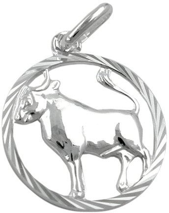 Unisex Kettenanhänger Anhänger Sternzeichen Stier aus 925 Silber Abmessung 15 mm inkl. kleiner Schmuckbox