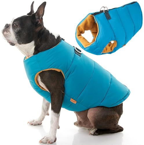 Gooby Padded Vest Dog Jacket - Solid Turquoise, Large - Warm Zip Up Dog Vest Fleece Jacket with Dual D Ring Leash - Water Resistant Small Dog Sweater - Dog Clothes for Small Dogs and Medium Dogs