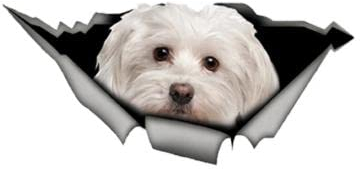 Autoaufkleber Hund Personalisiert 18Cm(7.08 Inch) Süße Malteser Auto Aufkleber Haustier Hund Auto Dekoration Zerrissene Metall Aufkleber Reflektierende Aufkleber Wasserdicht Auto Styling C740Sh