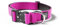 BullyBillows 4 cm Combat® Collier pour Chien v2.0 | Design Robuste avec Clip | sans Poignée | Doublure en Néoprène pour Plus de Confort | Magenta | Moyen | Taille Réglable 35 cm-54 cm(14-21)