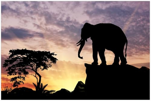 Wallario Küchenrückwand selbstklebend 90 x 60 cm, Motiv: Elefant vor Abendhimmel | Spritzschutz abwischbar & pflegeleicht