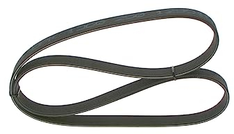 BOSCH Keilrippenriemen 1987946213