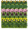 36 Taschen Wand-Pflanzbeutel Vertikale Wand Garten Pflanzer Pflanztaschen Hängend Begrünung Pflanztaschen Beutel Blumen Kräuter Anzucht Container für Garten Hof Heimdekoration