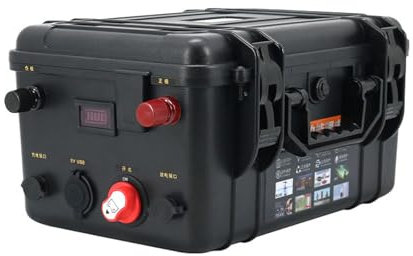 SSCYHT Batterie au Lithium 12V 24V 48V 60ah, 80ah, 100ah, 120ah, 150ah, 200ah Ultra légère, étanche, Haute Puissance, pour propulseur extérieur pour Moteur de Bateau,D 24v 200ah