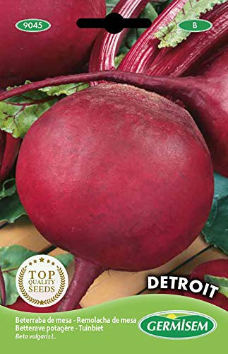 Germisem Rode Bete DETROIT