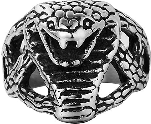 Dsnyu Herrenring, Schlange Ringe Punk Gothic, Ringe für Herren Edelstahl für Verlobung, Größe 62 (19.7) Silber