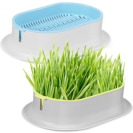 IWOWHERO Katzengras-anbauset Kreatives Geschichtetes Design Stabile Hydrokultur-katzengrasbox
