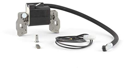 Briggs & Stratton 397358